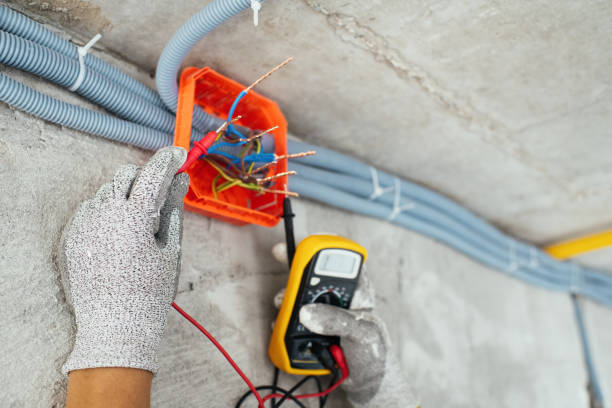 Best Ceiling Fan Installation Electrician  in Carnesville, GA